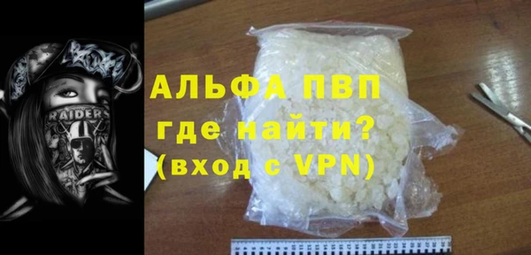МДПВ Бородино