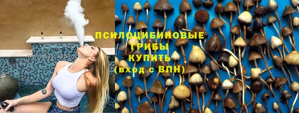 трава Богородицк