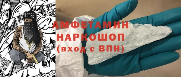 МДПВ Бородино