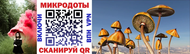 MEGA сайт  Короча  площадка телеграм  Псилоцибиновые грибы Cubensis 
