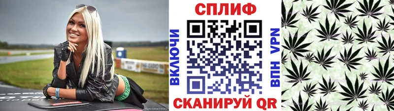 Конопля планчик  Короча 